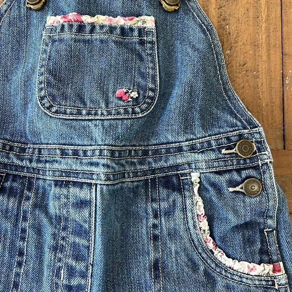 Janie and jack vintage strawberry floral denim overalls and hoodie jacket